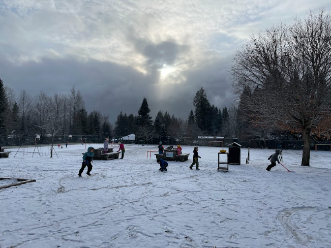 A group of people playing in the snow</p>
<p>Description automatically generated