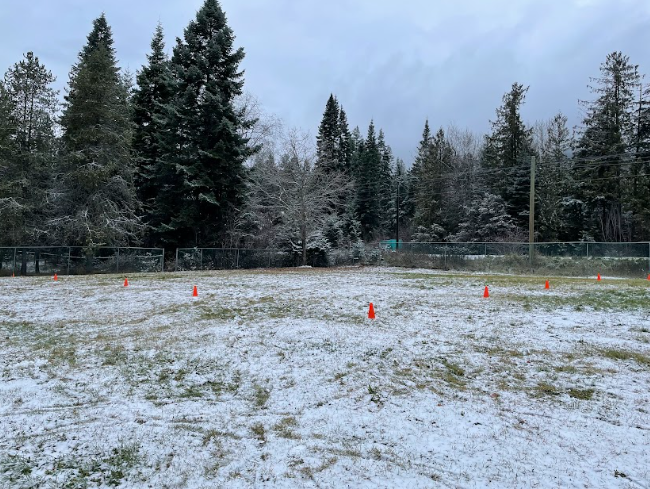 A snowy field with orange cones</p>
<p>Description automatically generated