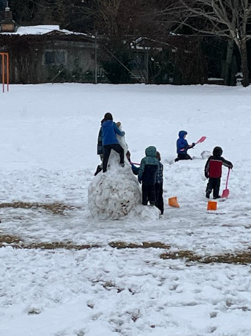 A group of kids playing in the snow</p>
<p>Description automatically generated