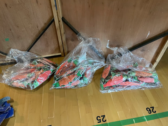 Plastic bags of carrots on a wood floor
Description automatically generated