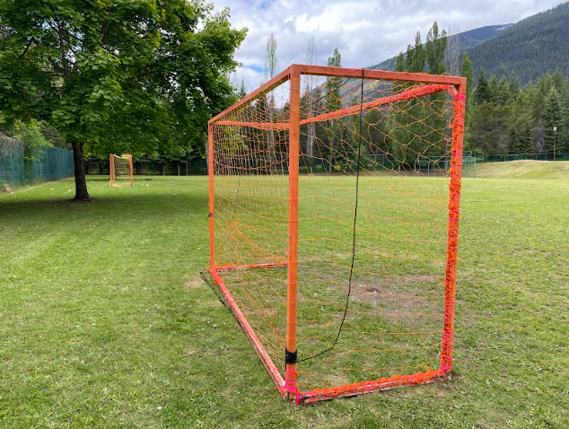 A football goal in a field

Description automatically generated