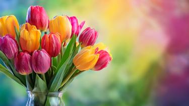 Vase of colourful tulips against a mottled colorful background
