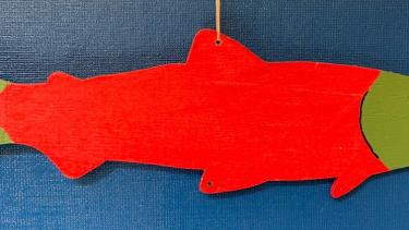 REDFISH Kokanee REDFISH Kokanee