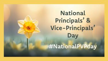 A yellow daffodil against a green and yellow background