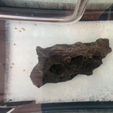 Kokanee TANK