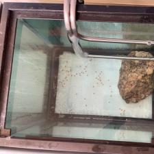 Kokanee TANK
