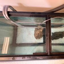 Kokanee TANK