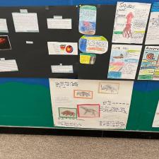 Passion Project