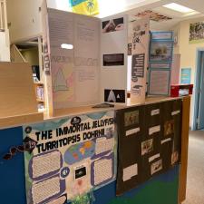Passion Project