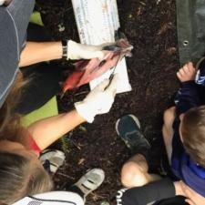 Kokanee Salmon School Program