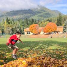 Gratitude Leaves