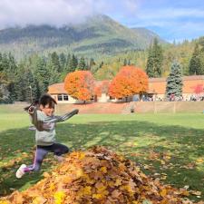 Gratitude Leaves